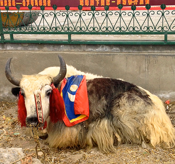 TIBET-TOUR-PAGE-2
