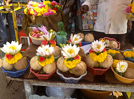 ourTours-photos-healingarttoursouthindia4