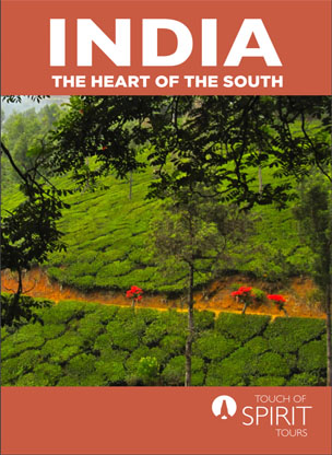 the-heart-of-south