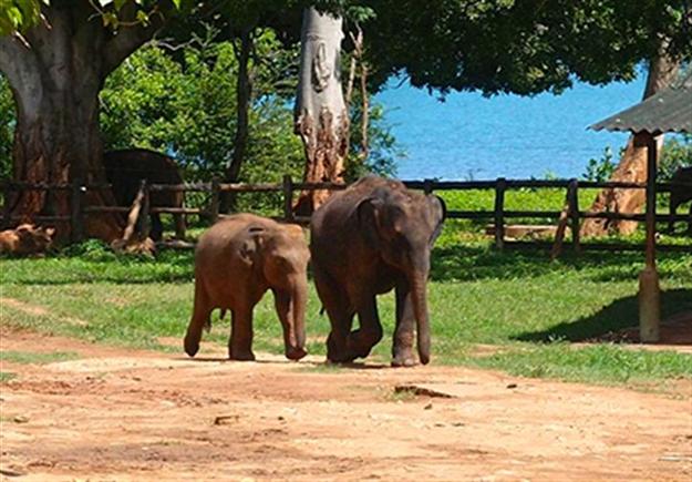 Beautiful Southern Sri Lanka